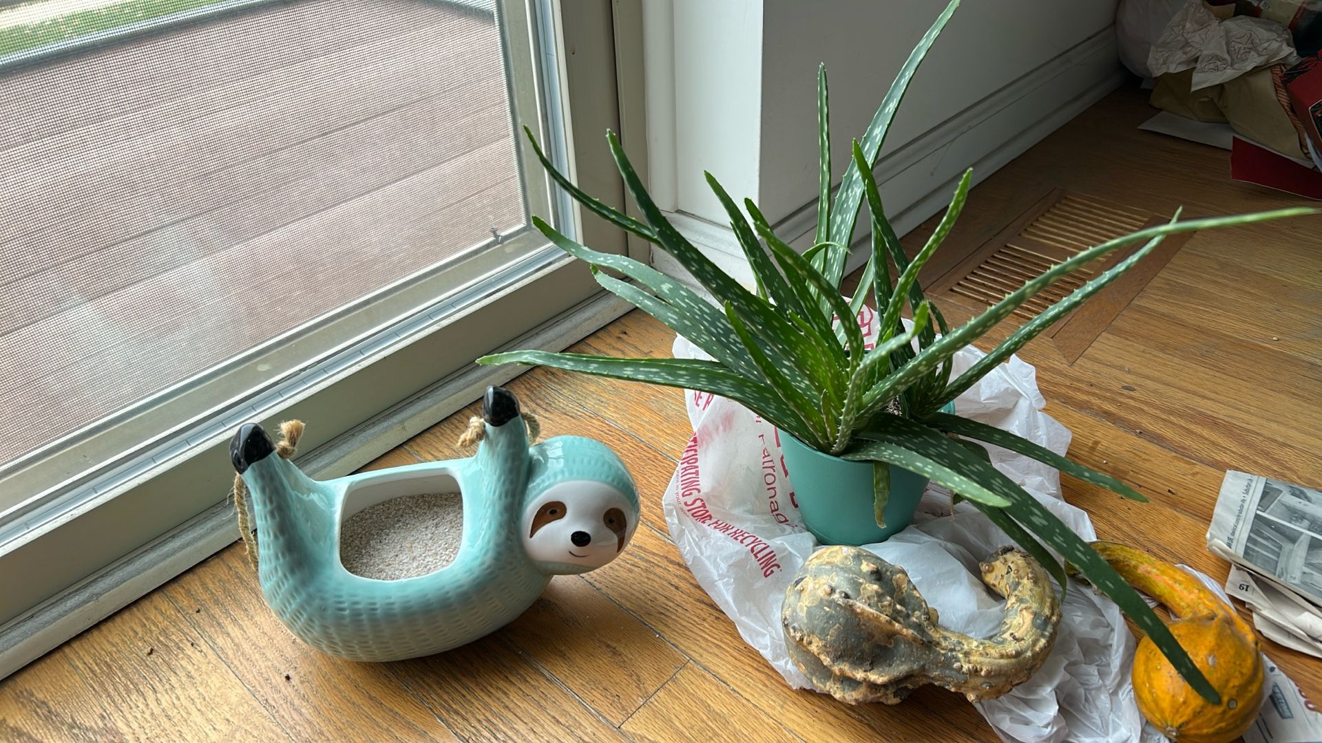 Sloth Hanging Planter & Aloe Vera Plant