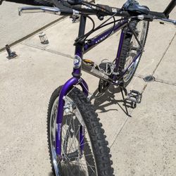 Trek 21-speed Mtn Bike