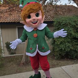 Elf On The shelf Costume For Sale