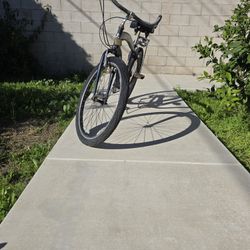 Two Cruiser Bicycles 