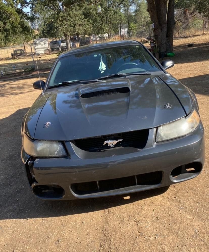 2001 Ford Mustang