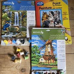 Lot of 3 Paint By Numbers Reeves Waterfall, Windmill Color & Co Dogs 9x12 AS IS 