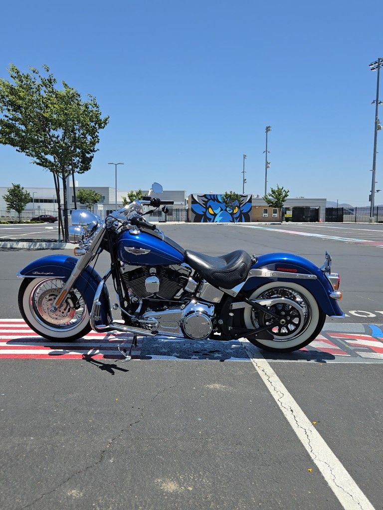 Harley Davidson Softails For Sale