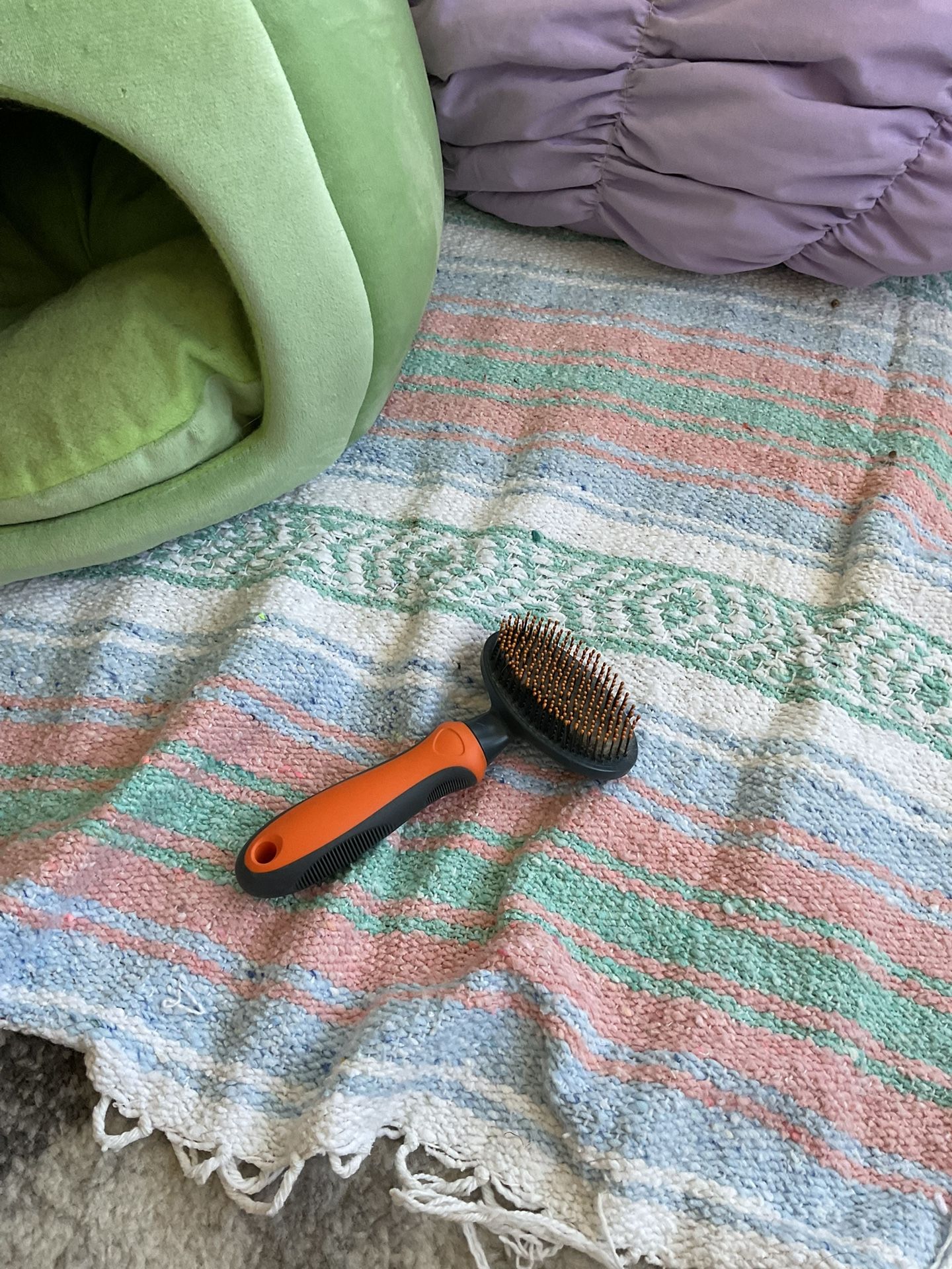 cat dog pet hairbrush