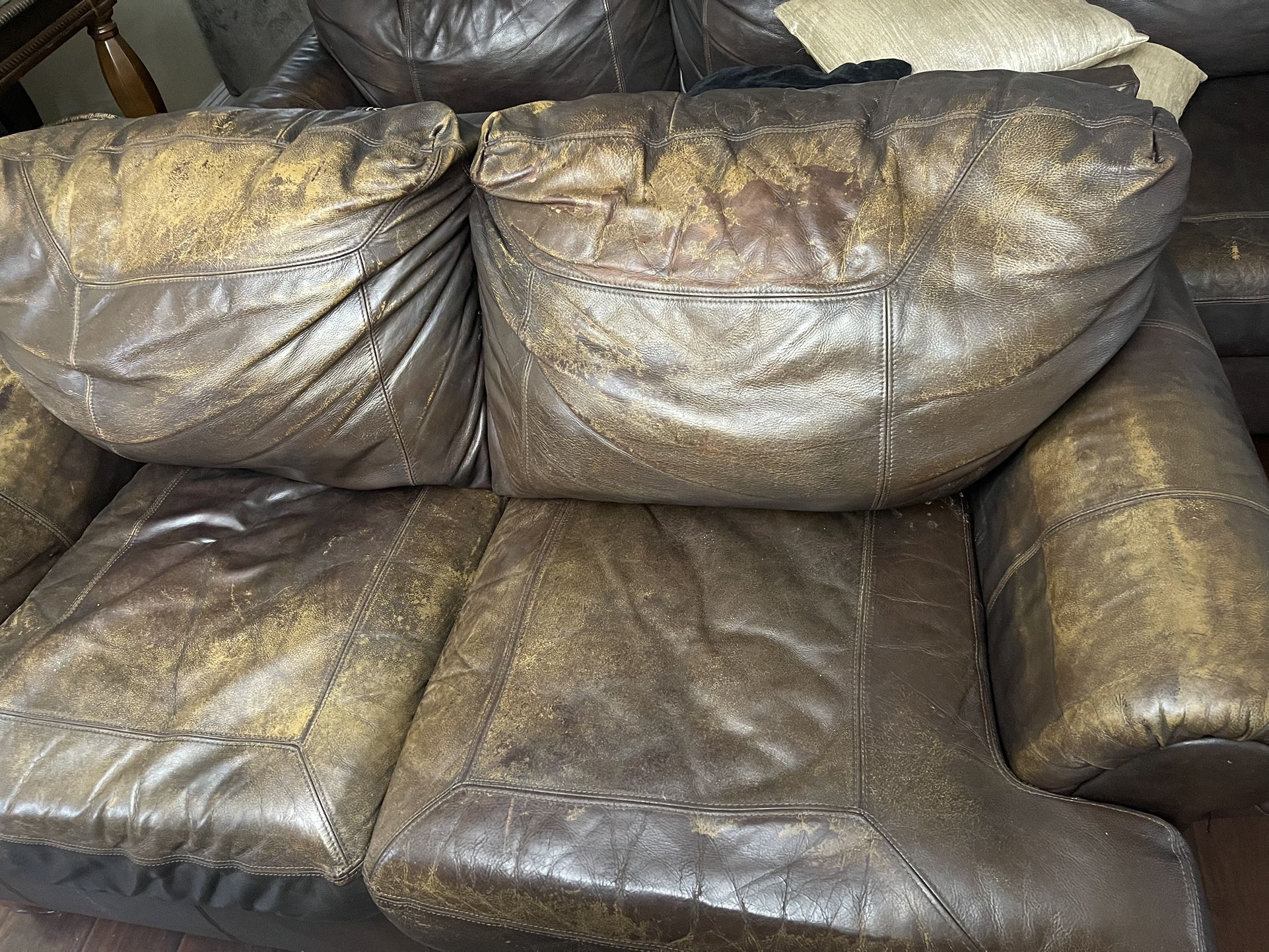Couches