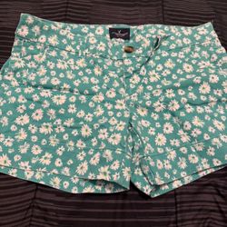 American Eagle Shorts Size 10 In Womens 