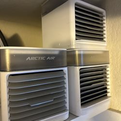 Arctic Air Mini Cooling Fan