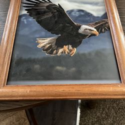 Eagle Picture 