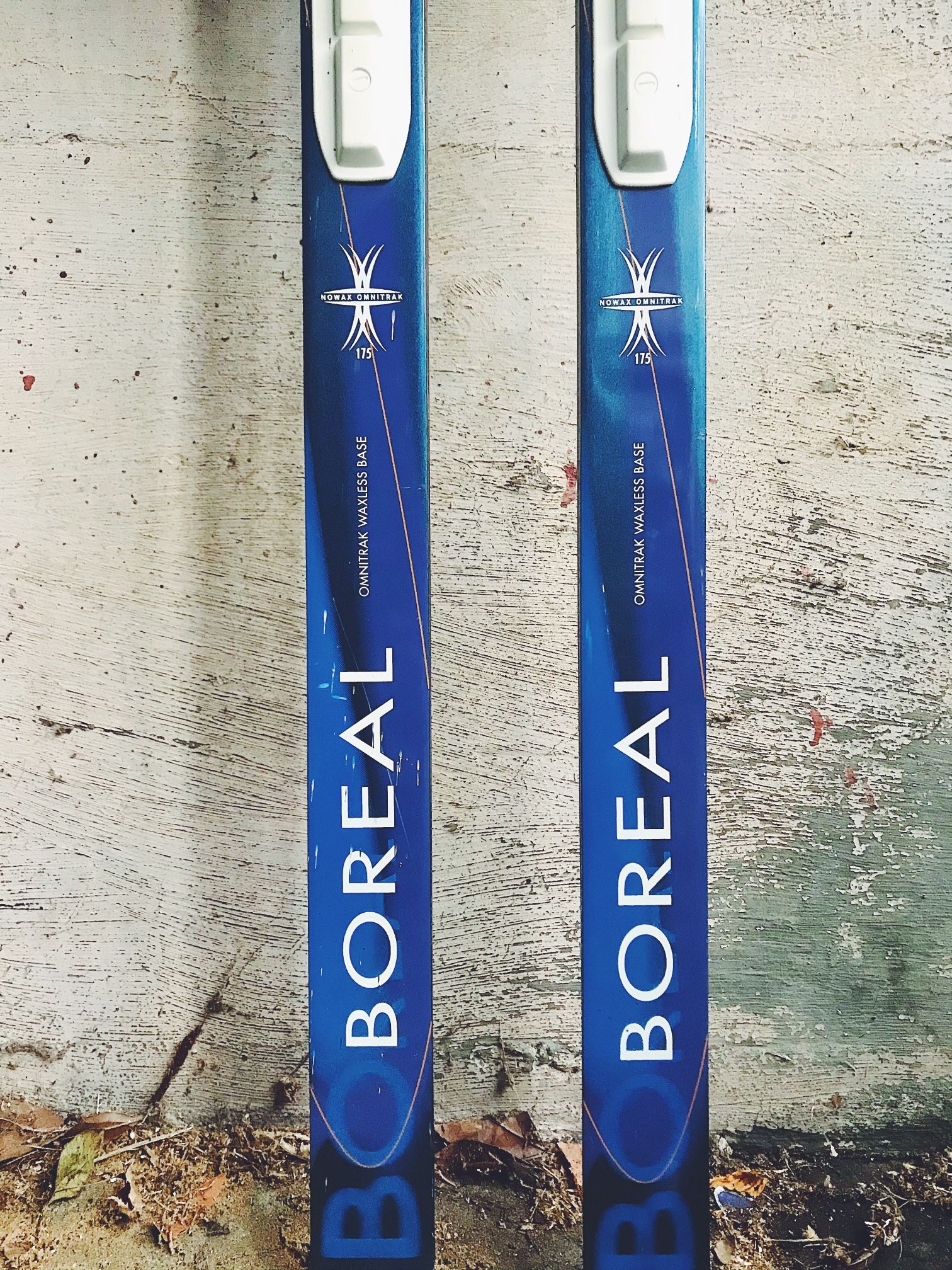 LL Bean Boreal Cross Country Nordic XC Skis 175 cm (+ Poles) for Sale