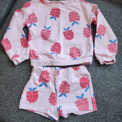 5t Girls Sweatshirt/short Outfit. $7