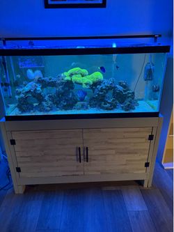 75 gallon saltwater tank