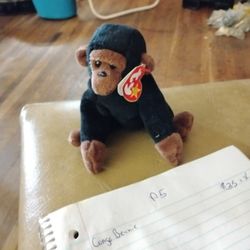 The rare retired 1996 "Congo" Beanie Baby with tag errors 