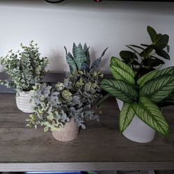 Faux Plants