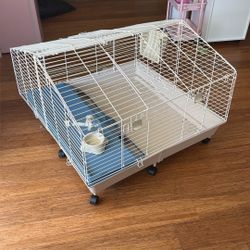 Guinea Pig Cage