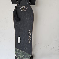 Electric Skateboard