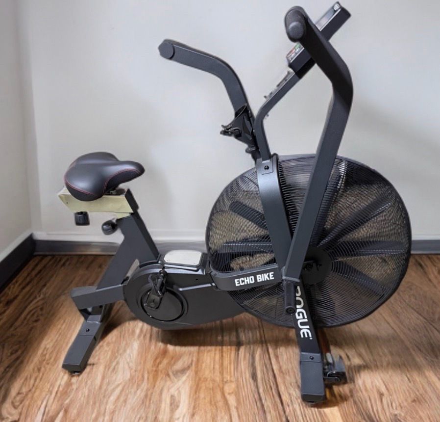 Rogue echo Air-bike V3.0