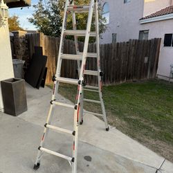 7ft Ladder 