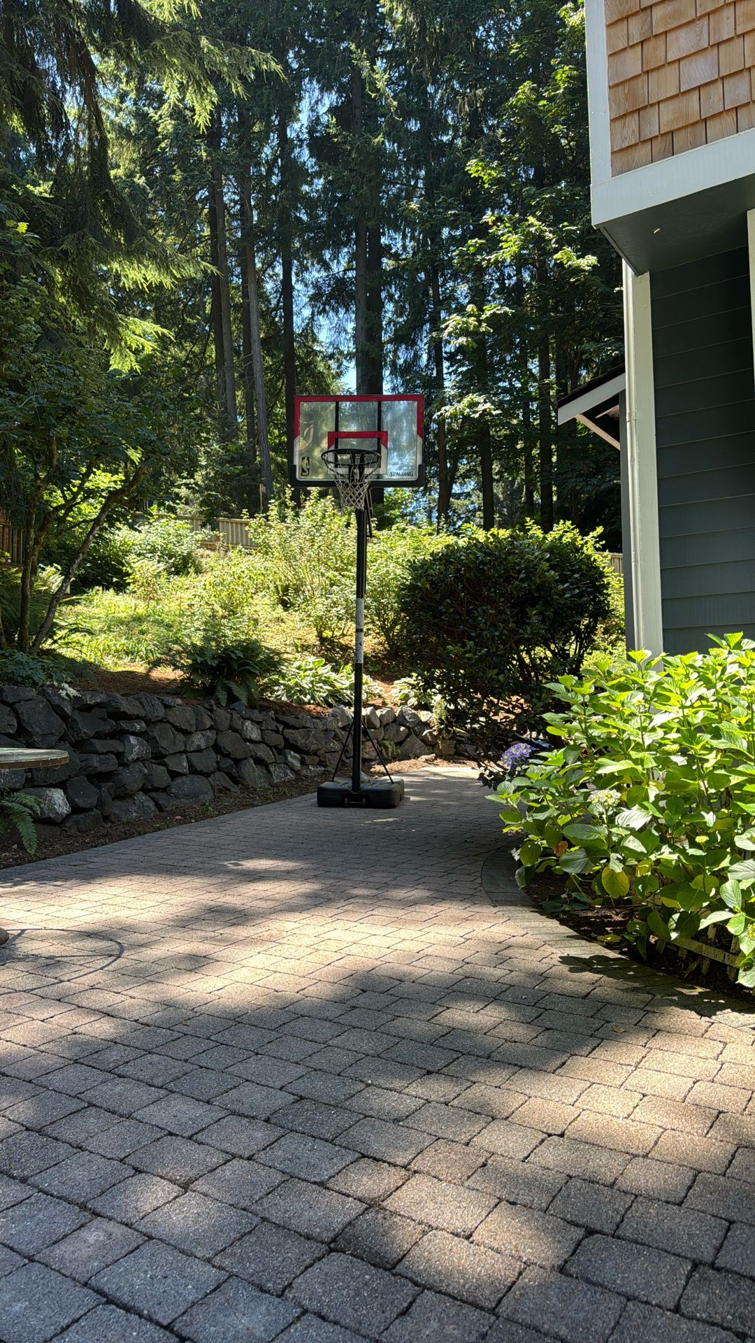 Free Basket Ball Adjustable Back Board