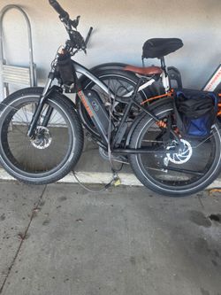 Rad Power Bikes RadRover Fat Tire Electric Bike