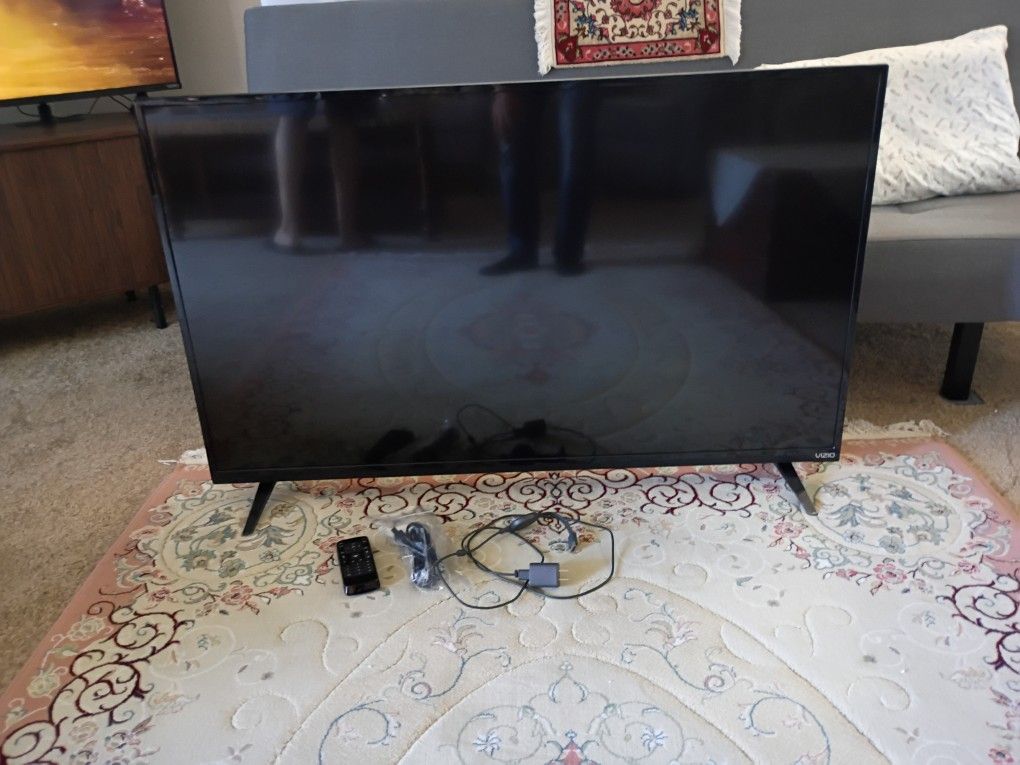 VIZIO 48-IN SCREEN TV