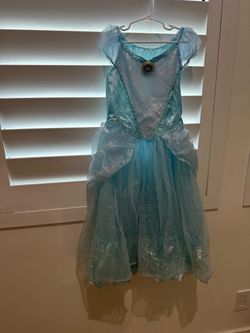 Cinderella princess costume