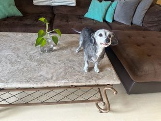 Marble Coffee Table