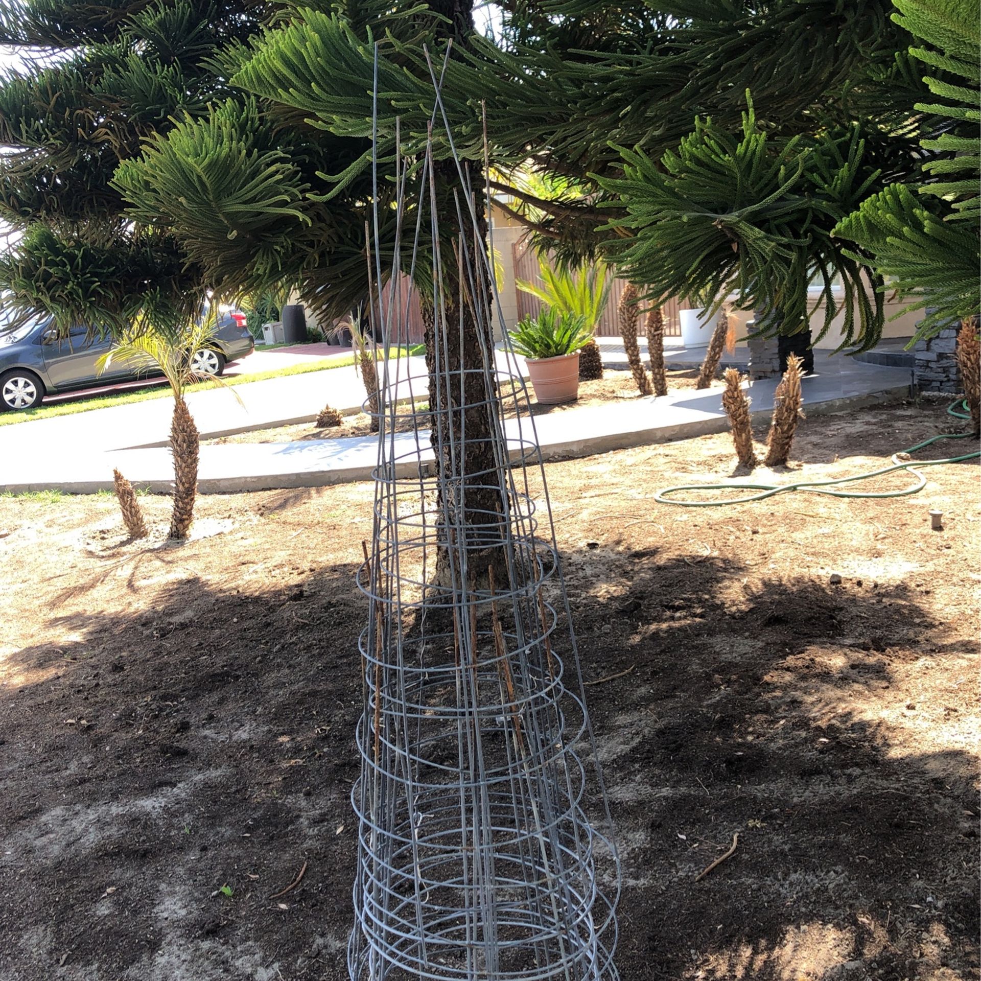 Tomato cage Galvanized