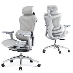 New on box needs assemble Sihoo Doro-C300 Ergonomic Chair, 3D Armrests Swivel Chair, Adaptive Lumbar Support Office Chair, Ergonomic Desk Chairs for A
