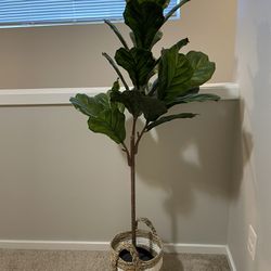 Artificial potted plant, indoor/outdoor fiddle-leaf fig, 7 ½ "