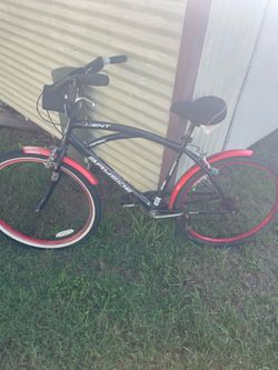 Bayside bike goood
