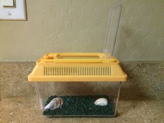 Small Fish Tank