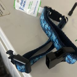 Authentic Louis Vuitton dog Collar for Sale in Alhambra, CA - OfferUp