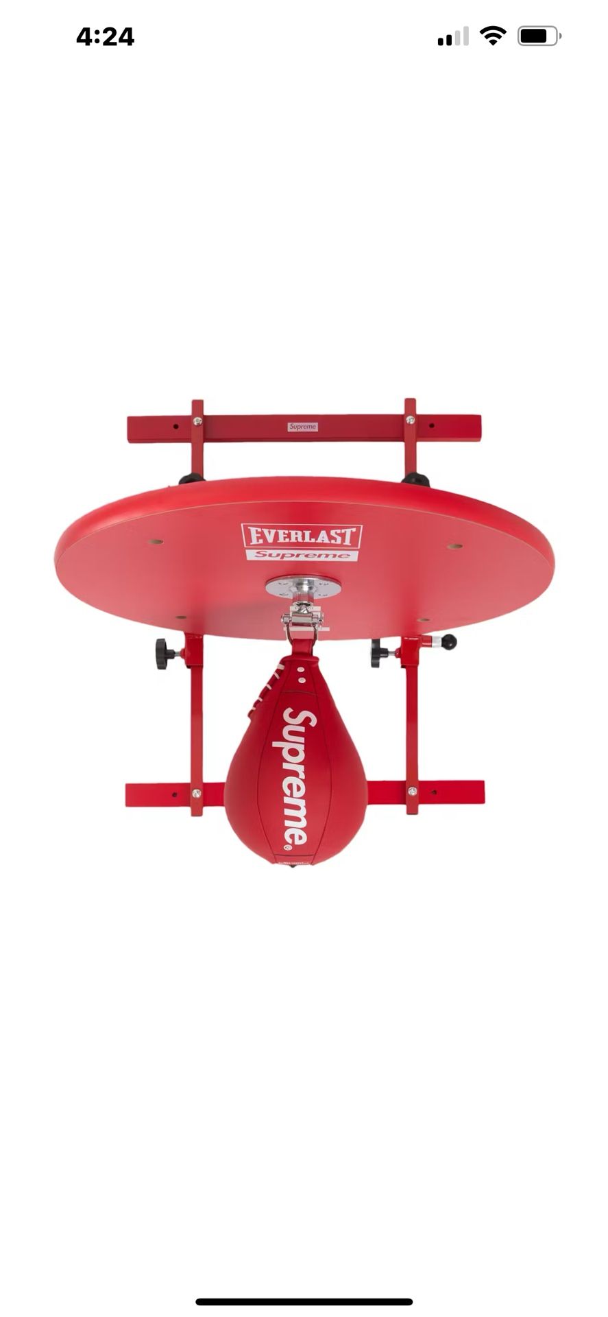 Supreme Everlast Speed Bag