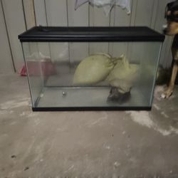 Fish Tank , Not Sure How Much Gallons But It's A Decent 2-3 Ftl Long And Abt 1-2 Ft Height