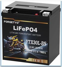 Lithium YTX30L-BS, 900A LiFePO4 Motorcycle Battery, 12V 12AH ATV, UTV, Jet Ski, 4 Wheeler,Snowmobile, Tractor,Generator and Riding Lawn Mower Battery