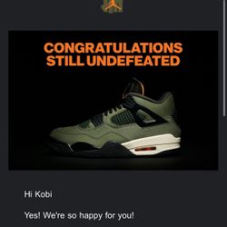 Air Jordan 4 Undefeated Size 9