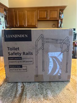 Toilet Safety Rails