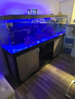 120 Gallon With Stand Filter And Rock