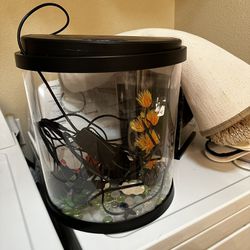 3 Gallon Fish Tank With Supplies