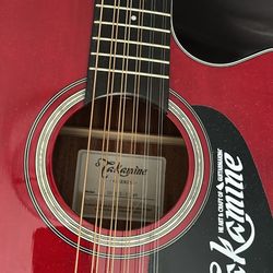 Takamine g series