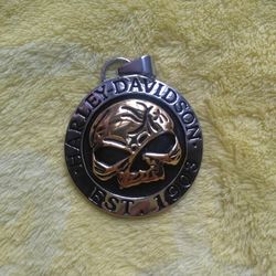 Large silver and gold HD pendant