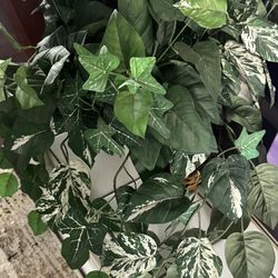 Two realistic-looking artificial plants - lovely greenery