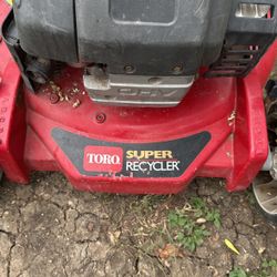 Toro Personal Pace 