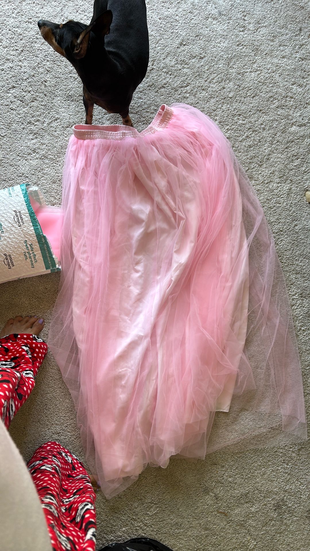 beautiful long pink tutu skirt