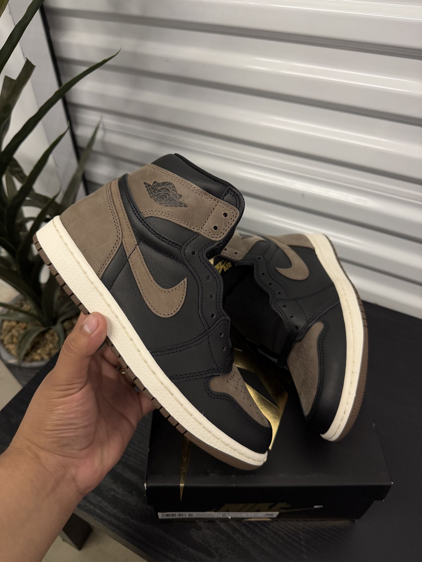 Air Jordan 1 Palomino