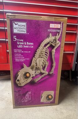 Skeleton cat