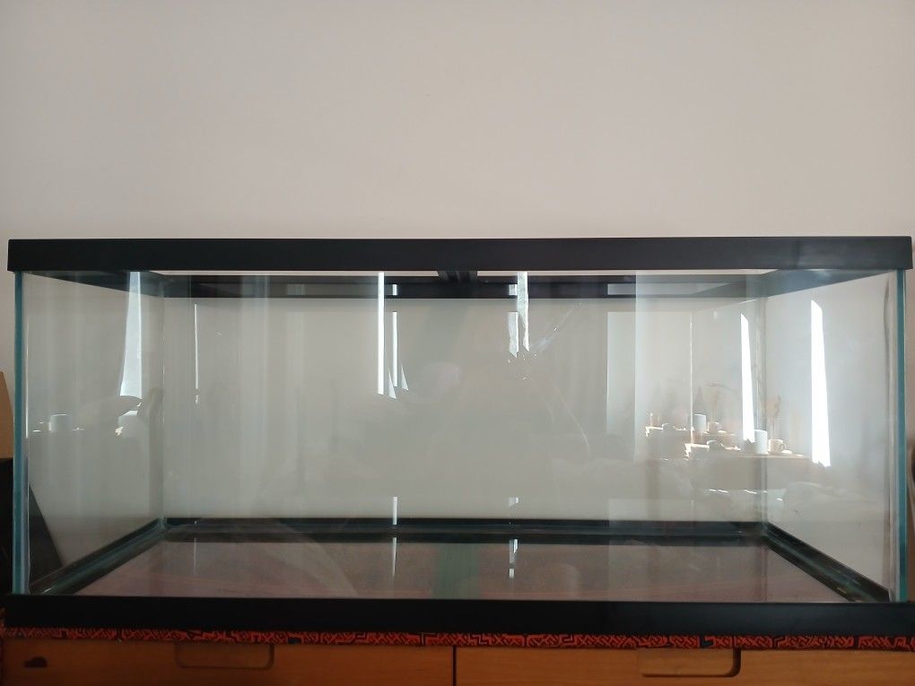 75 Gallon Aquarium