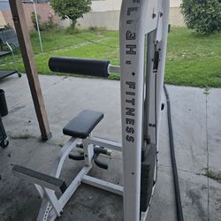 AB Abdominal And Back Fitness Workout Exercise Home Gym Weight Machine