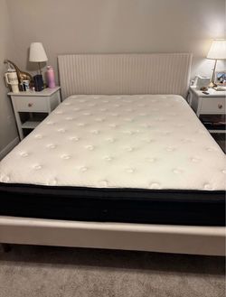 Queen Cream Bed Frame