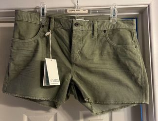 BRAND NEW CARVE BRAND Corduroy Oahu Green Shorts